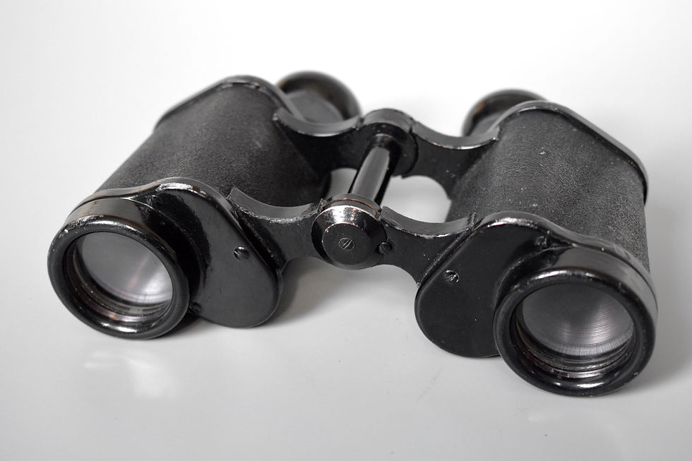 Thumbnail: 6x30 Dienstglas field binoculars 'ddx