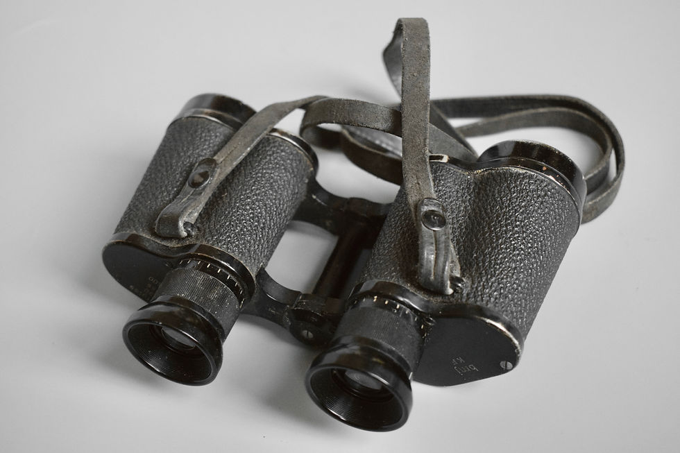 Thumbnail: 6x30 Dienstglas binoculars 'bmj'