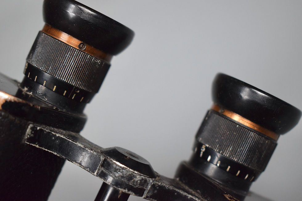 Thumbnail: 6x30 Dienstglas 'Carl Zeiss Jena' binoculars