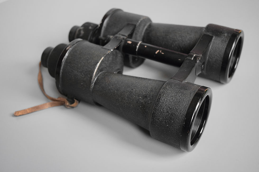 Thumbnail: Zeiss 8x60 U-boat deck binoculars 'blc' + filters
