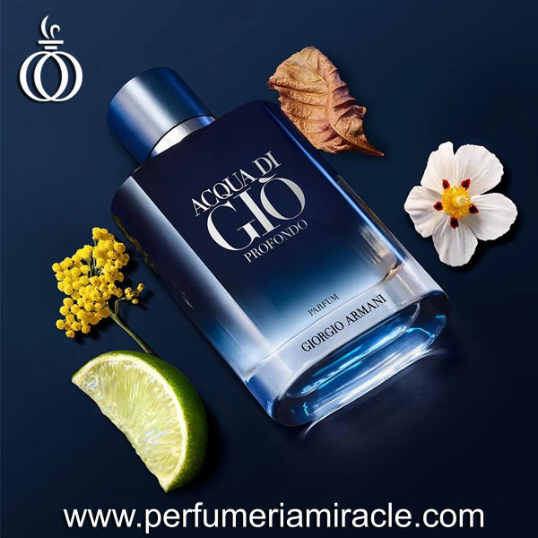 Miniatura: Giorgio Armani Acqua Di Gio Profondo Parfum 100ml