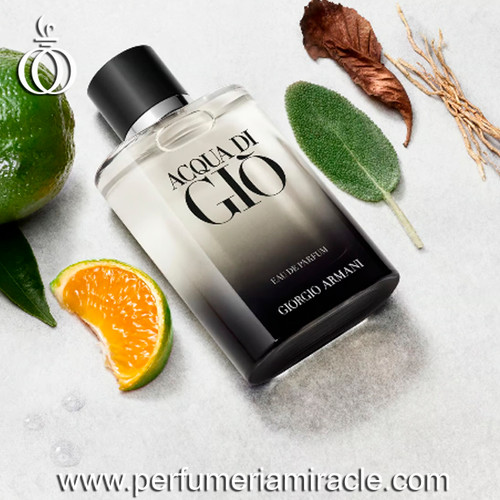 Giorgio Armani Acqua Di Gio EDP 100ml | Perfumería Miracle
