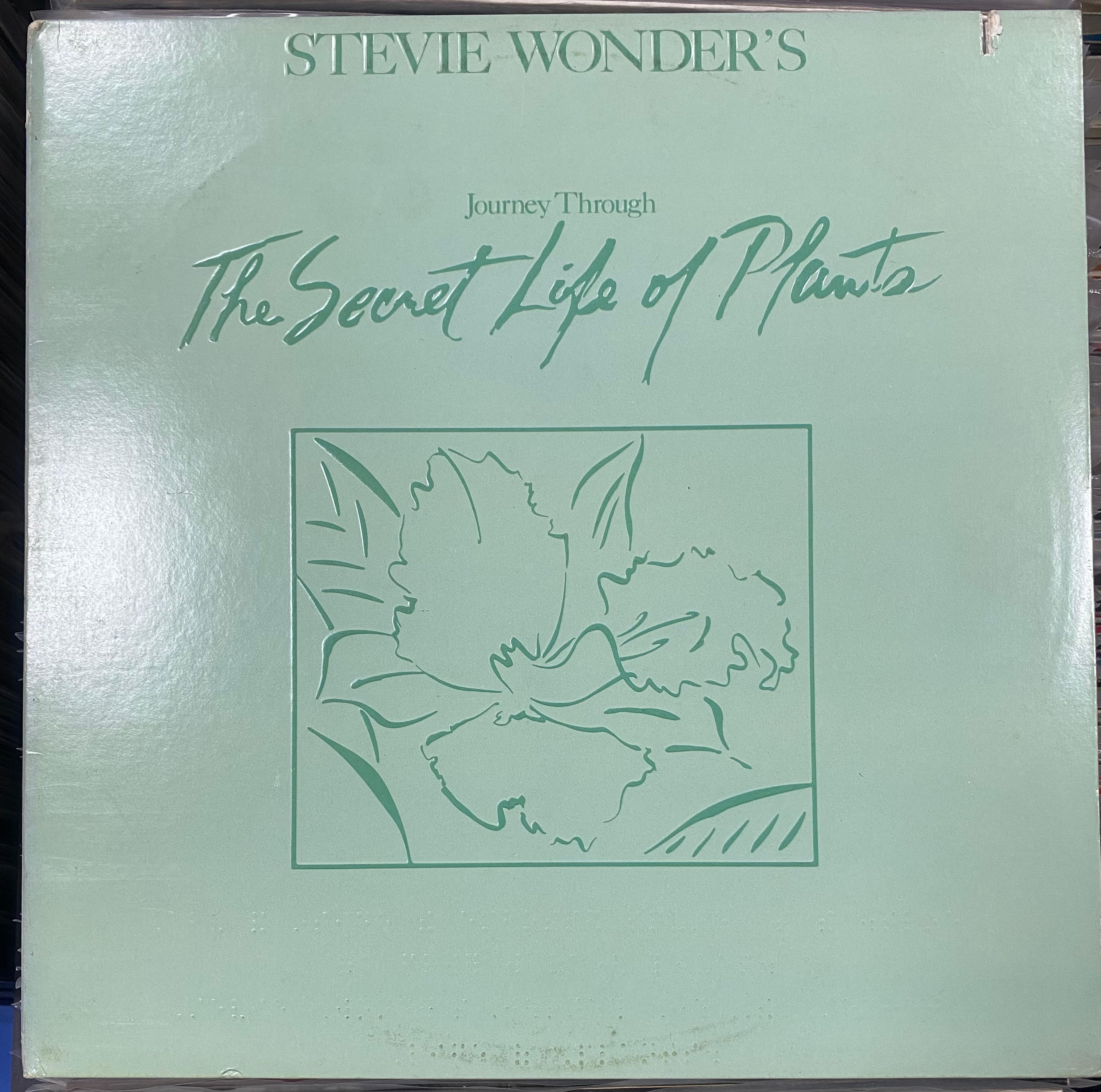 Copertina LP Stevie Wonder, Journey Through The Secret Life of Plants