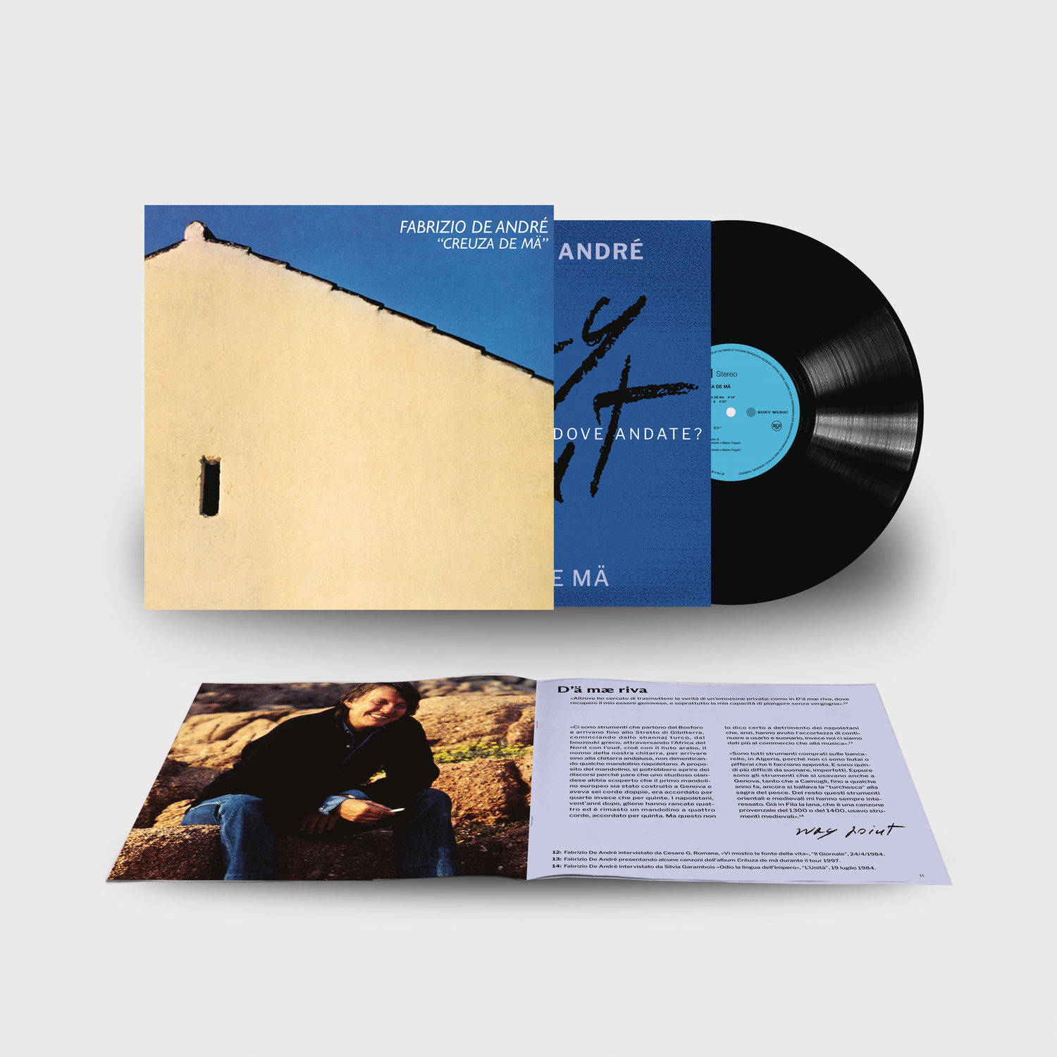 Carmen Consoli, Volevo Fare La Rockstar, LP