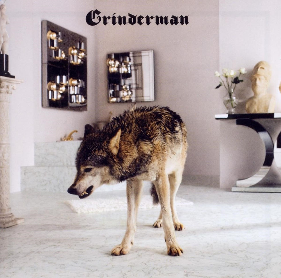 Lupo in interno elegante, copertina Grinderman