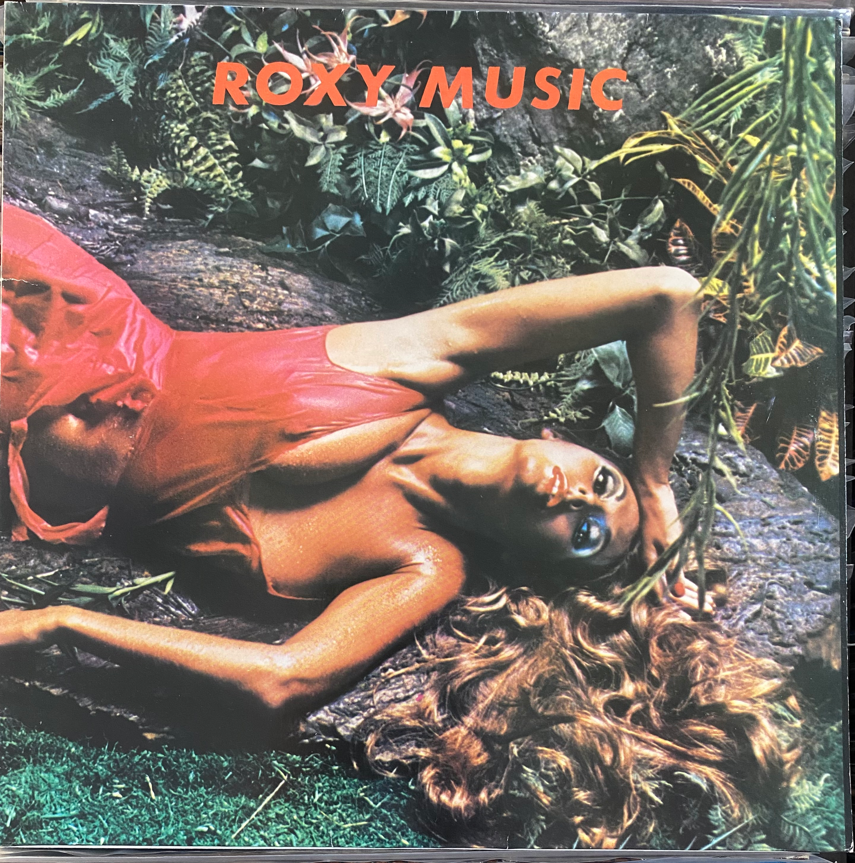 Donna in rosso, Roxy Music
