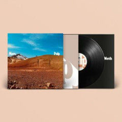 Disco in vinile, paesaggio desertico