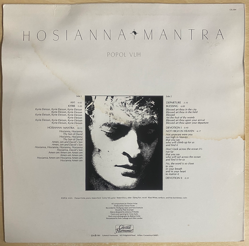 Copertina posteriore LP Hosanna Mantra: Force for