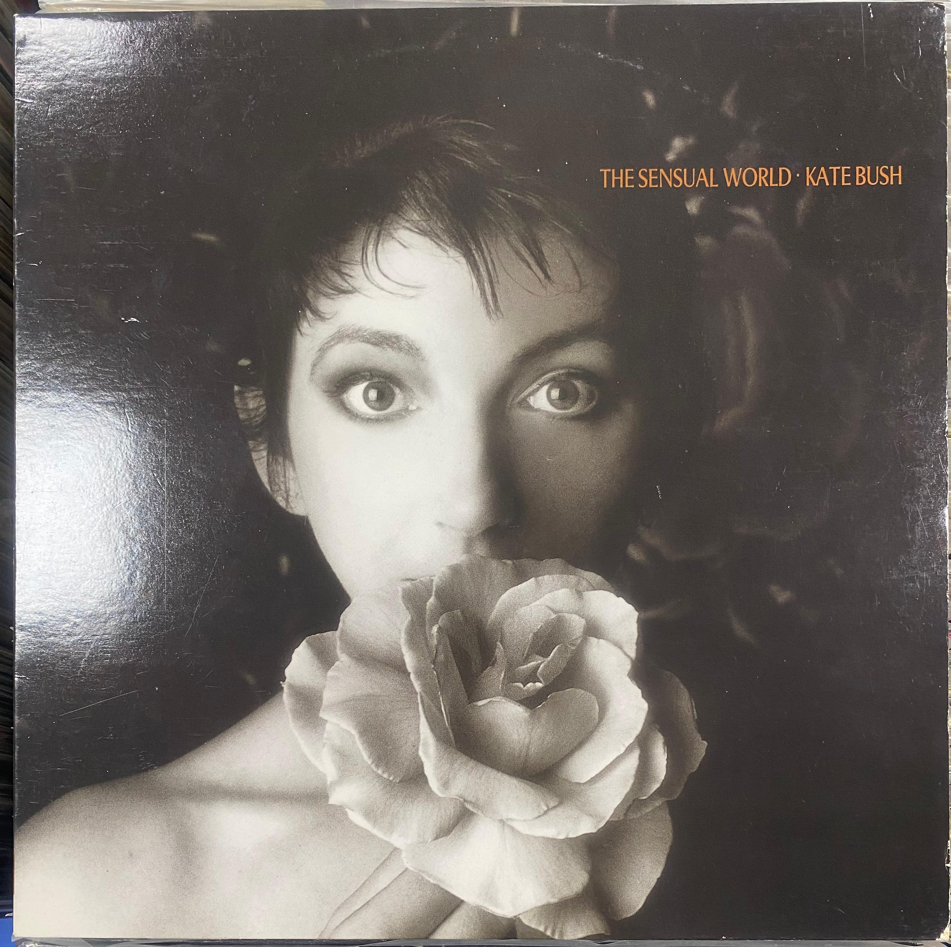 Copertina dell'album, The Passion, Kate Bush