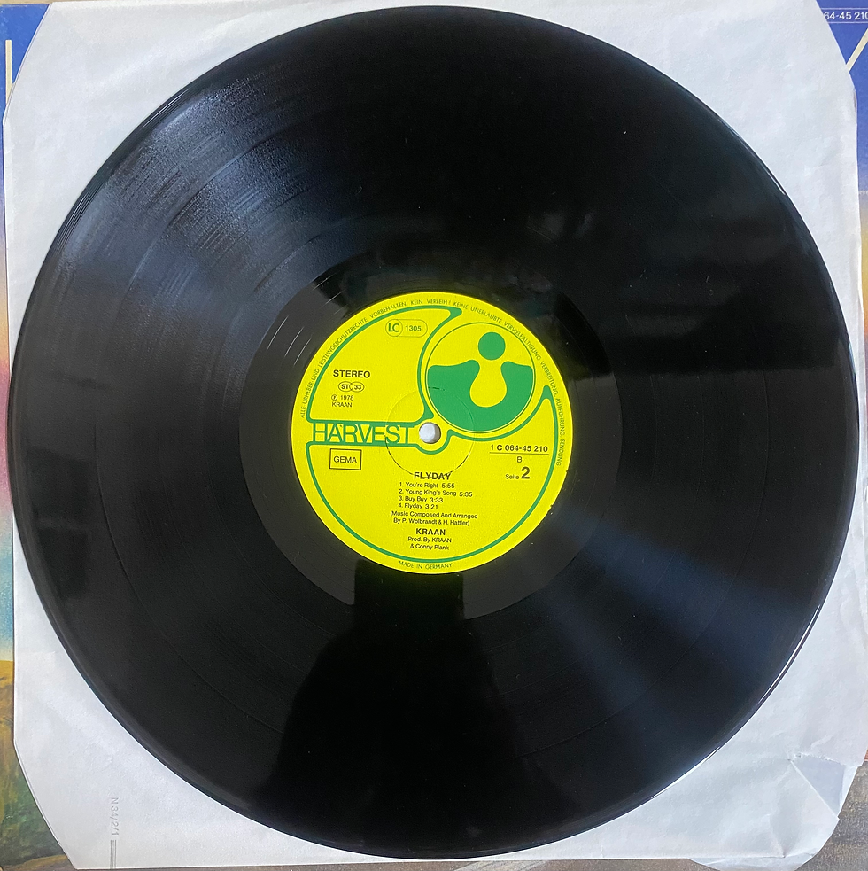 Miniatura: Disco in vinile: Gone To Earth di Sylvian David