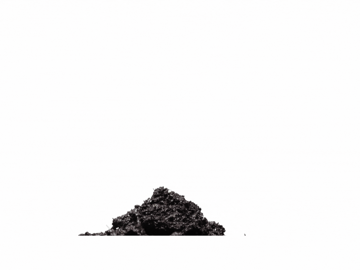 Add a heading.gif