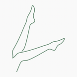 Copy of Untitled Design.PNG