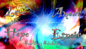 Best Wishes / Meilleurs voeux