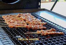 crocodile meat