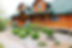 branson mo cabins