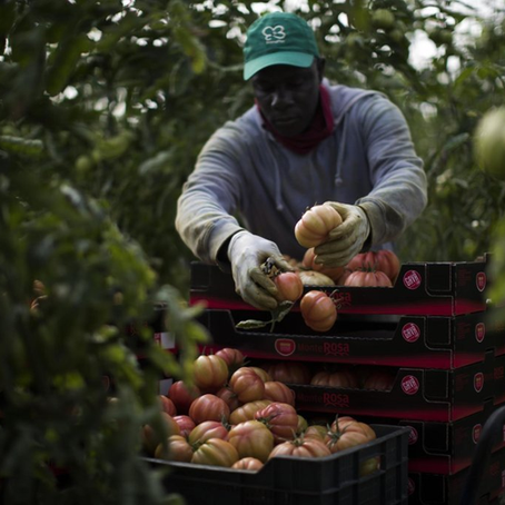 Will the Decline in Global Immigration Spark Economic Setback?