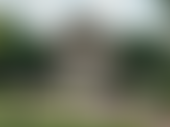 The Long-Run Impacts of Banning Affirmative Action in U.S.