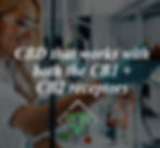Thumbnail: 2,200mg PhytoComplex CBD Gummies