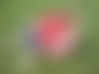 Raufende Kinder - Aggressives Verhalten, das unterdrückt werden muss?