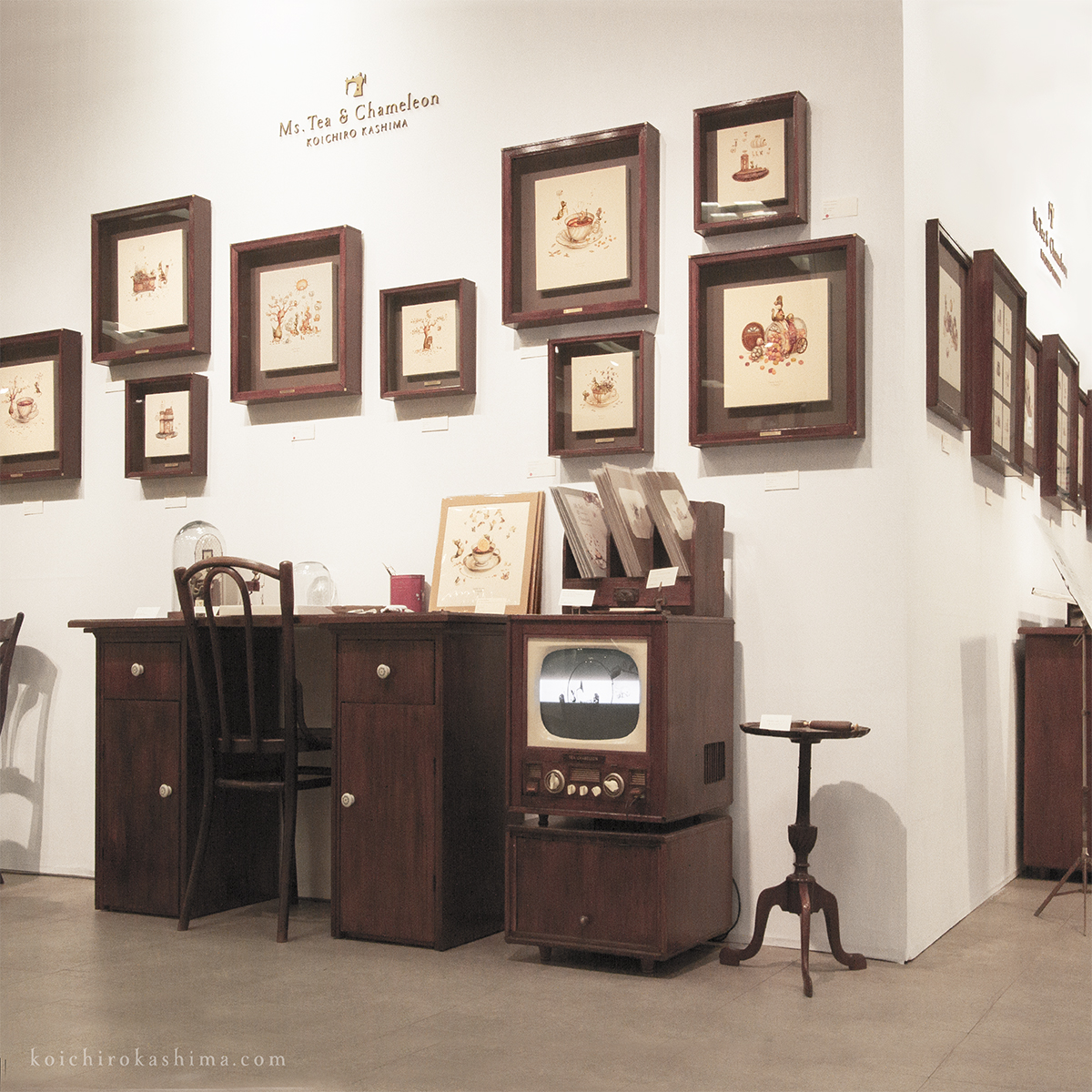 ティーとカメレオン特別展