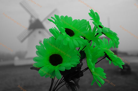 Green flowers - Copy.jpg
