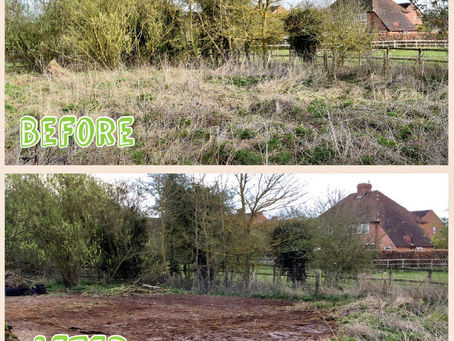 Work starts on the new garden!