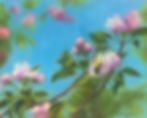 A Buzz in the Blossoms