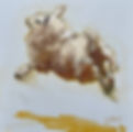 Sheep Leep
