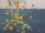 Thistledown on a Sea Breeze