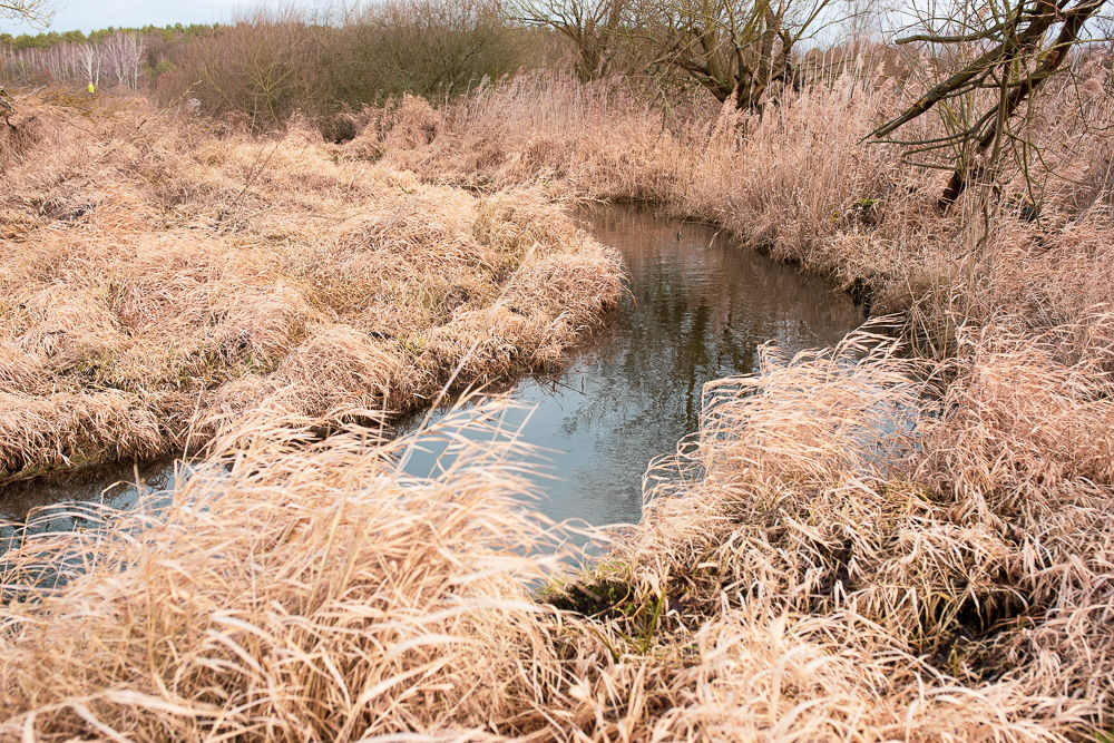 Unterwegs am Tegeler Fließ, Berlin, Teil 2, Kurt Gruhlke