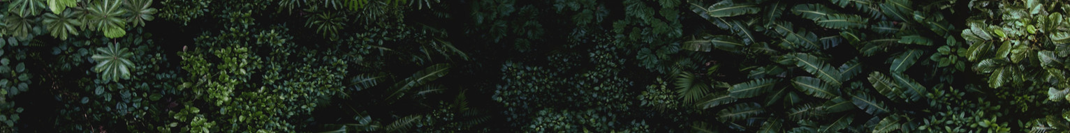 AEnB2Urdf6-kuAWmrq-bXW2lvGfX-6E-htWHTO0I
