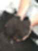 fournisseur-lombricompost -pepiniere-cha