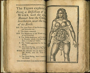 Jane Sharp book excerpt.jpg