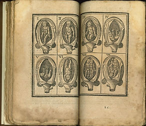 Jane Sharp book excerpt two.jpg