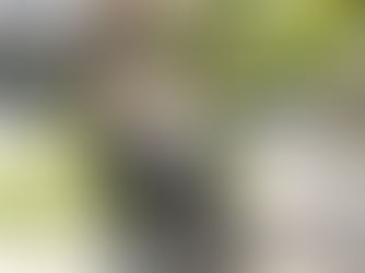 Support worker and service user in a wheelchair enjoying a trip outside