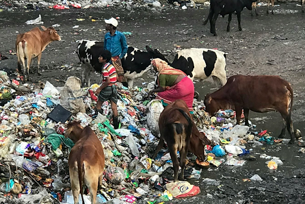 Screenshot 2025-09-27 at 2.16.25 PM.png