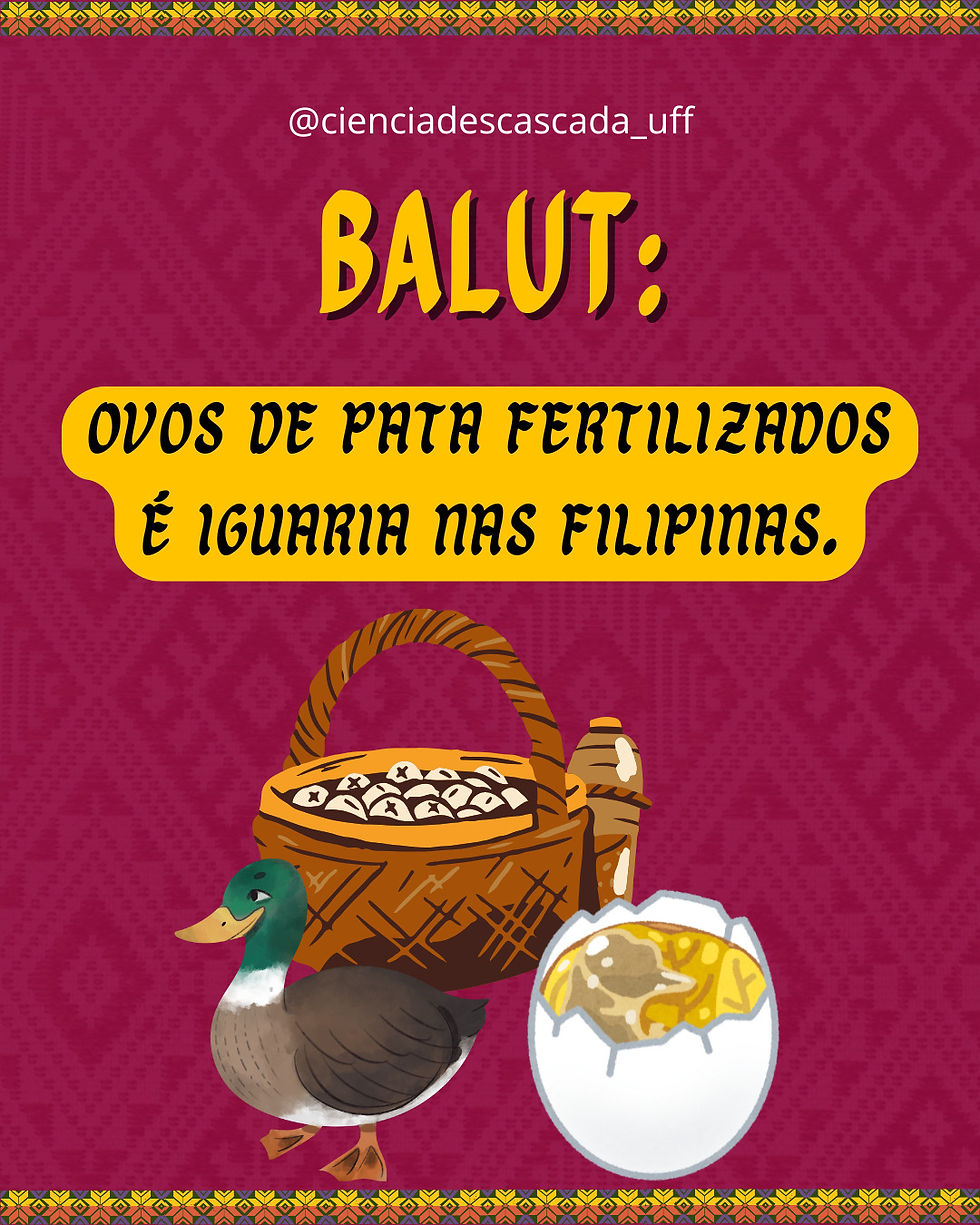 BALUT: Ovos de Pata Fertilizados é Iguaria nas Filipinas