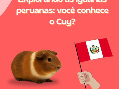 Explorando as iguarias peruanas: você conhece o Cuy?