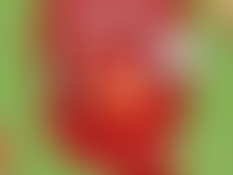 Muito além do tomate: como o ketchup contribui para o aumento do consumo de açúcar na alimentação.