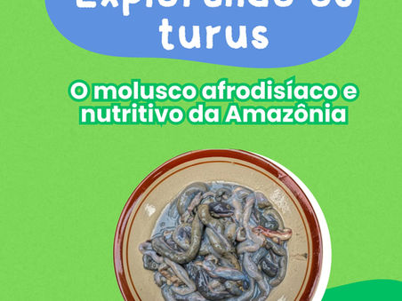 Explorando os Turus: o molusco nutritivo e afrodisíaco da Amazônia