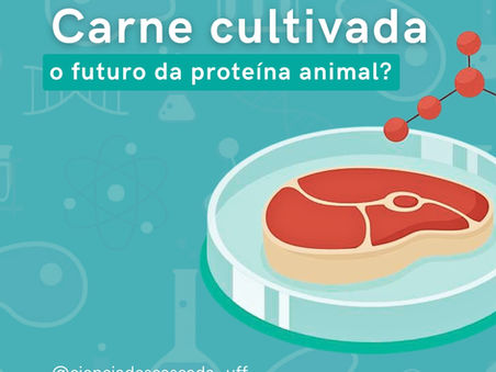 O Futuro da Proteína Animal: Vamos Falar Sobre a Carne Cultivada?