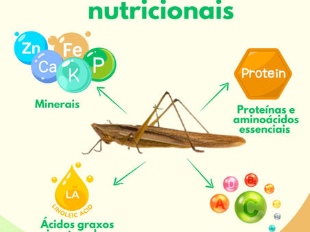 Consumo de Gafanhotos no Continente Africano