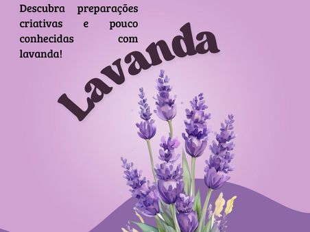 Lavanda e seus usos inusitados