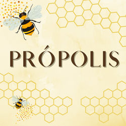 Própolis