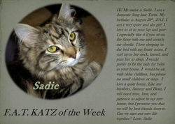 sadie.jpg