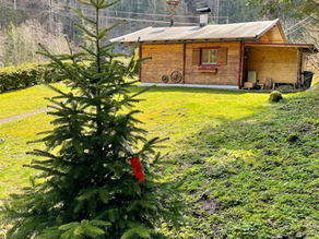 CELEBRATING EARTH DAY 2023