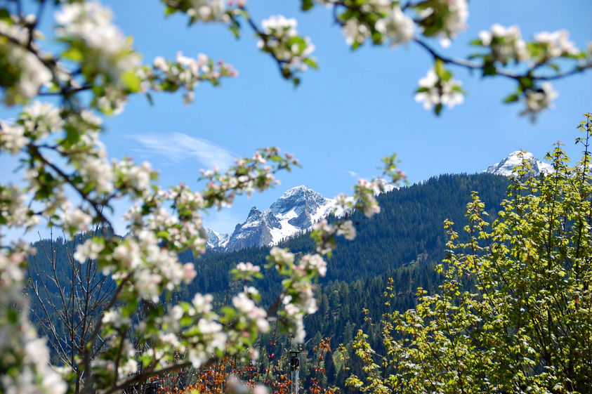Accommodation with private garden near Zell am See