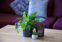 Holiday apartment Bruck an der Grossglocknerstrasse