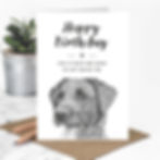 wholesale birthday card for dog lovers with a hand-drawn illustration of a black labrador