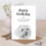 wholesale birthday card for dog lovers with a hand-drawn illustration of a cavapoo